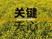 亚特兰大主场不敌国际米兰