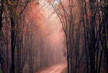 莱比锡红牛喜获胜利稳固前四位置