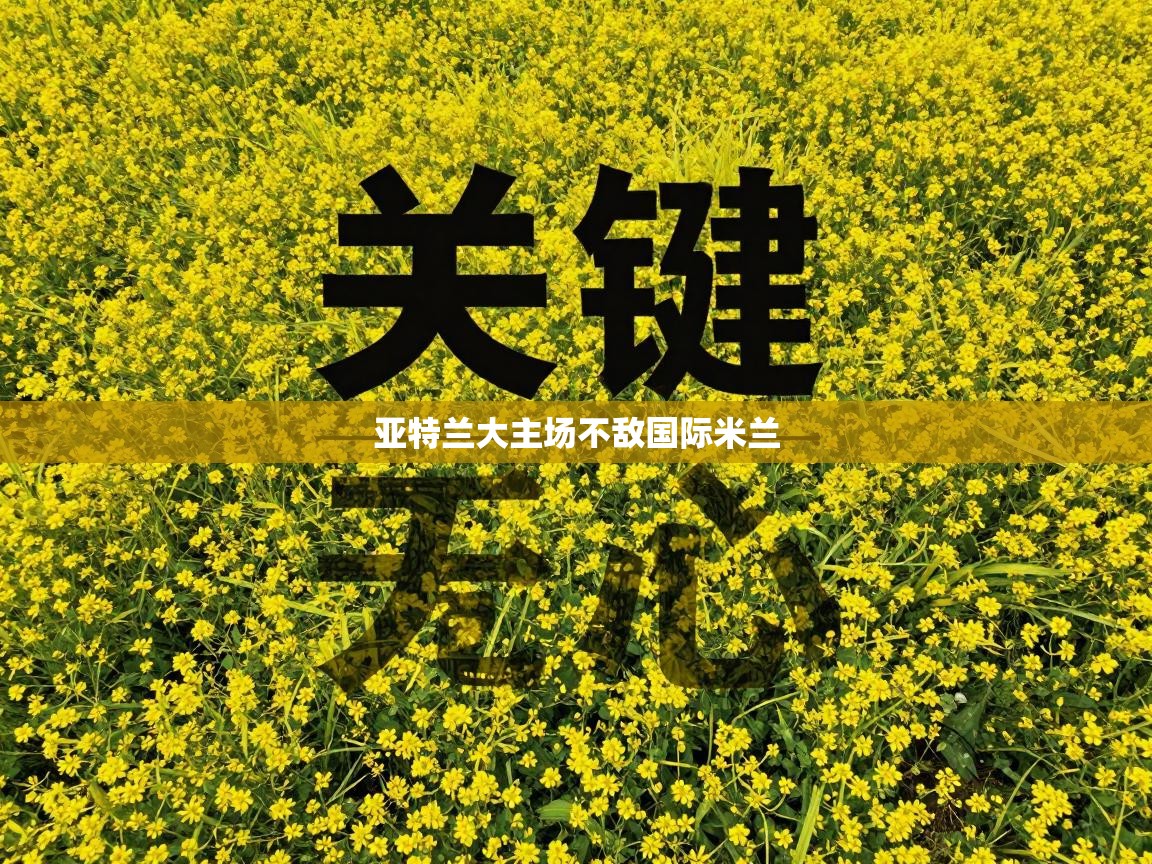 亚特兰大主场不敌国际米兰 第1张