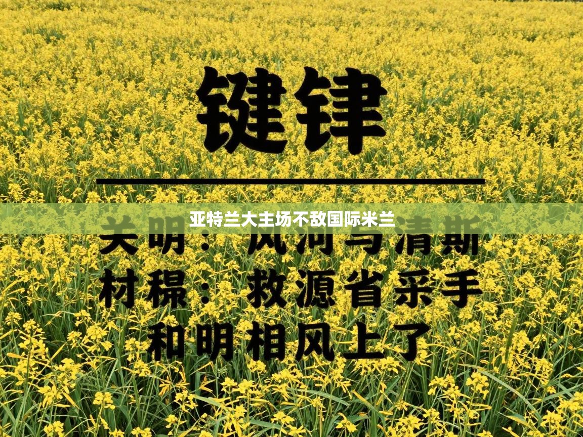 亚特兰大主场不敌国际米兰 第2张