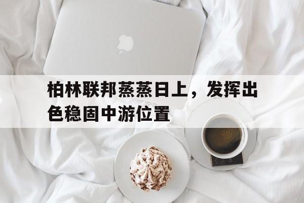 爱游戏登录入口-柏林联邦蒸蒸日上，发挥出色稳固中游位置的简单介绍